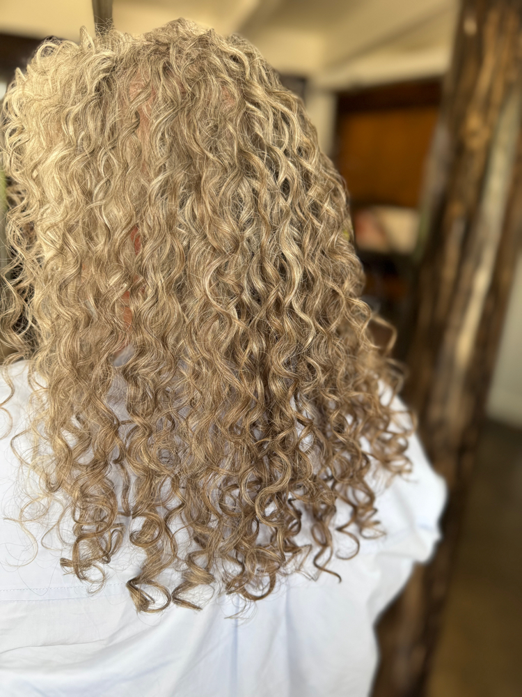 Dry Cut & Refresh-existing clients