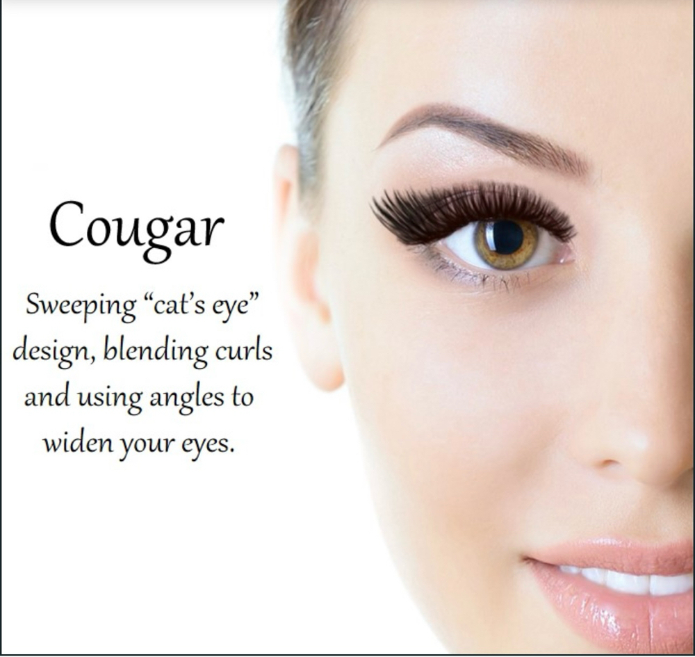 Cougar touch up