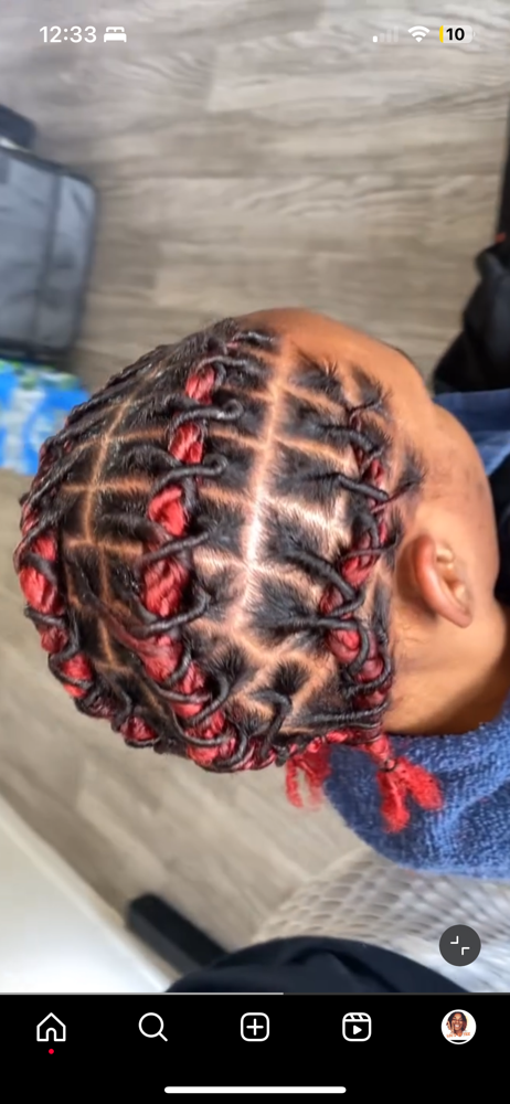 Starter Locs