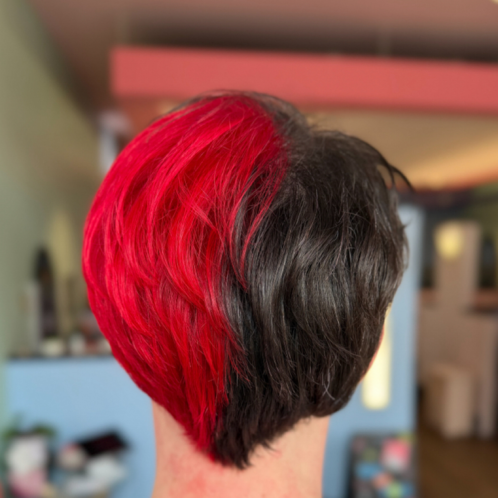 Split Dye at Brittony Sherwood Hair in Knoxville, TN
