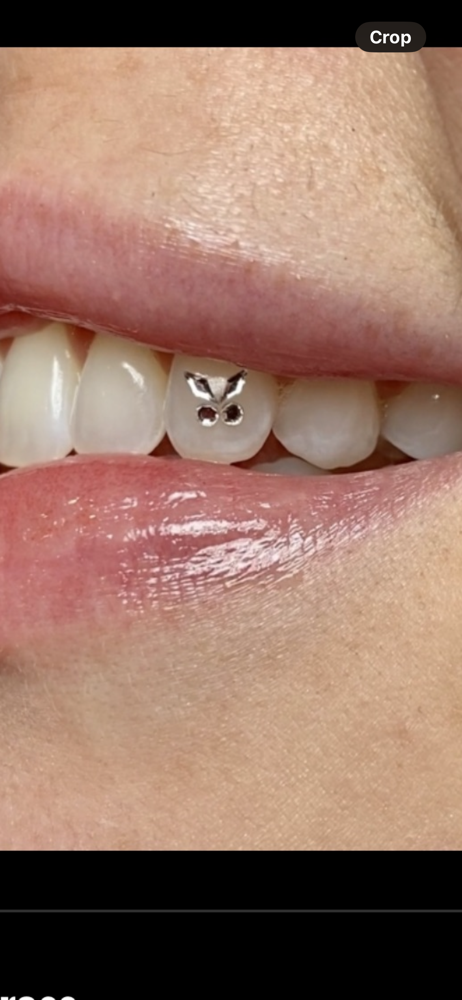 Baby Butterfly at TooTheeMaxx in Lindenhurst, NY