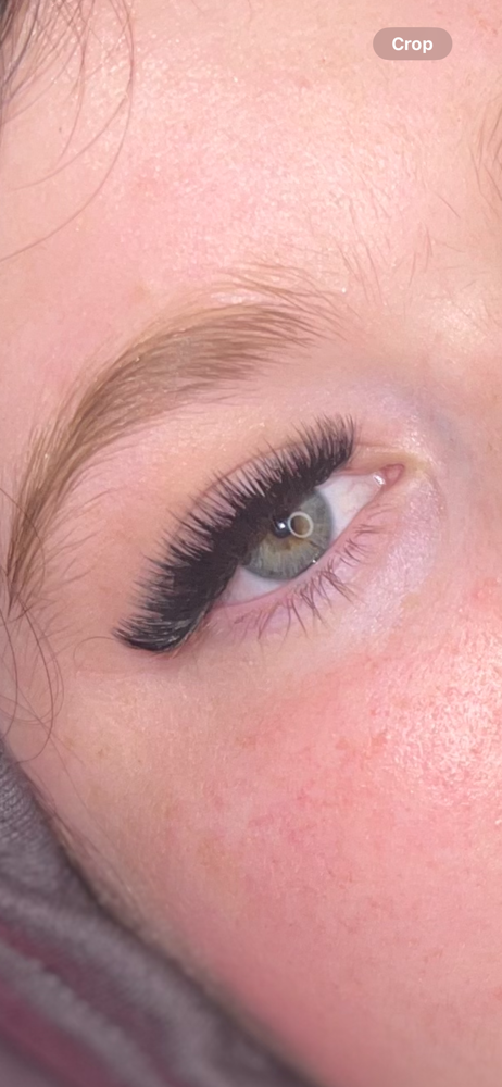 Standard Lash Fill