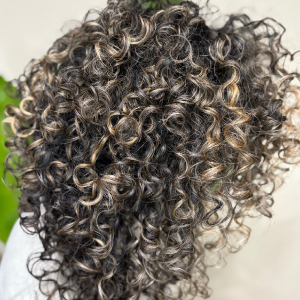 Maintenance Curly Cut at Amillie Starr HMUA⭐️ in Lawrence, MA