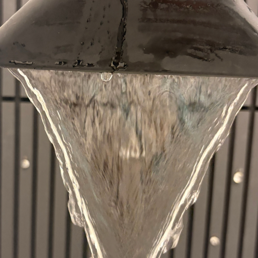 Waterfall Hydration Rinse at H2Oasis Head Spa in Delray Beach, FL