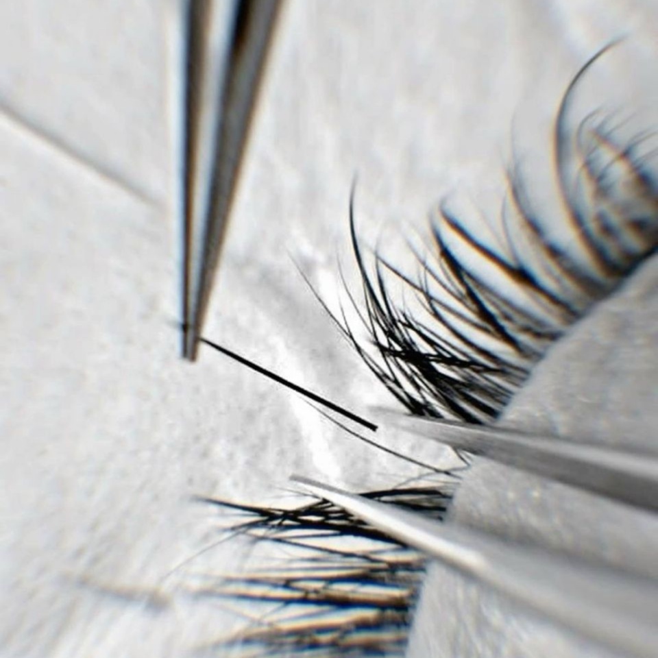 New Client Refill at Lashes by Haley in Jacksonville, FL