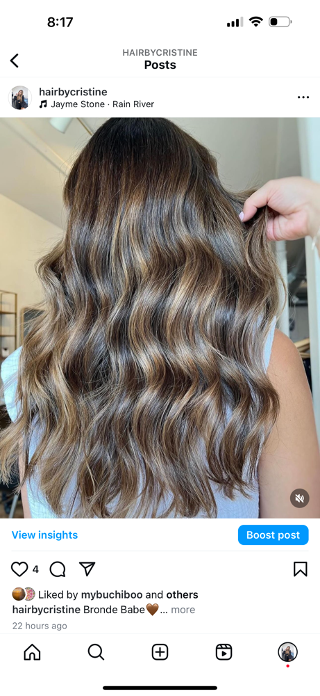 Shampoo And Blow Out