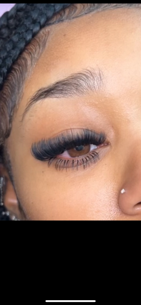 Bottom Lashes