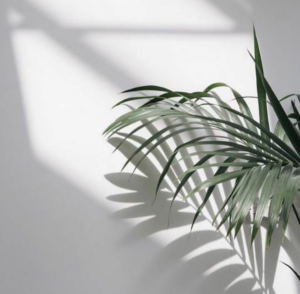 LED Light Therapy