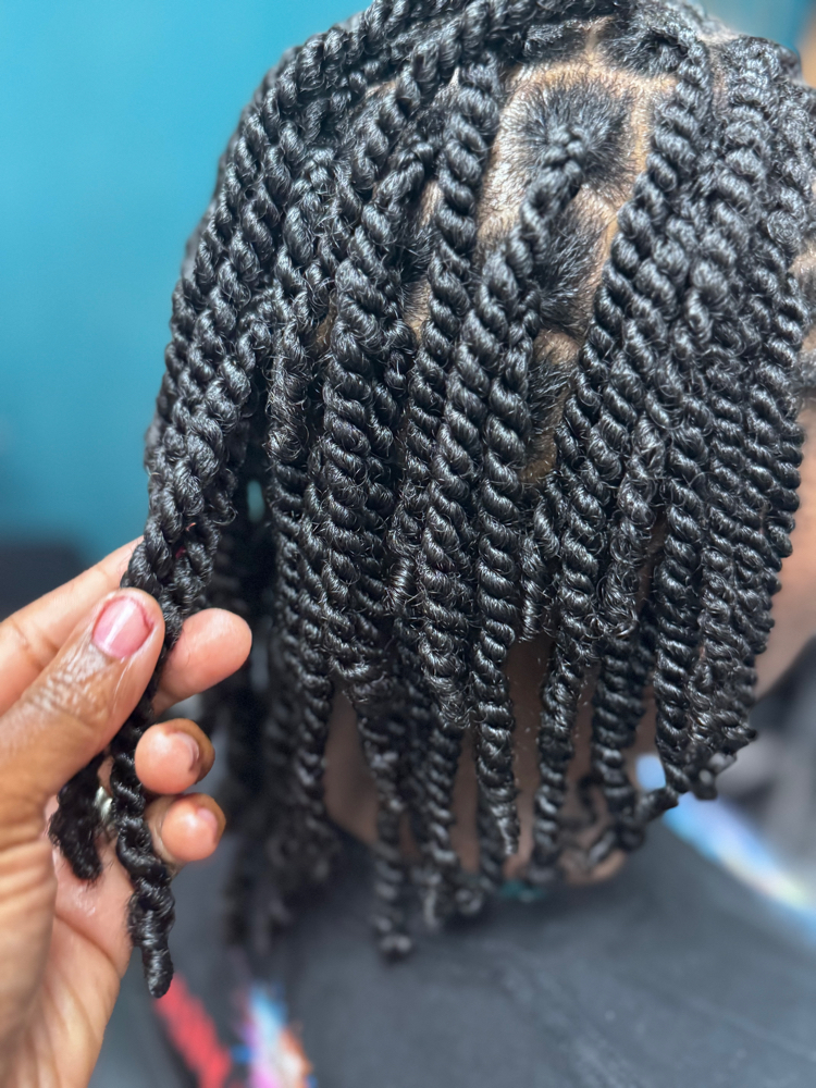 Two Strand Twist