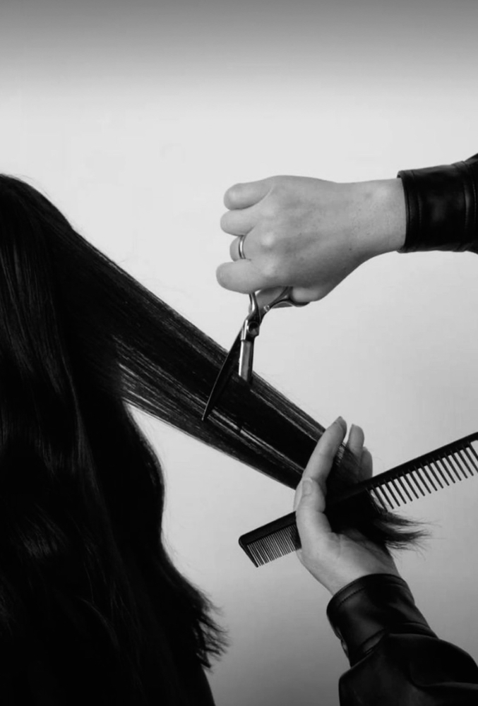 Shampoo, Cut, & Style