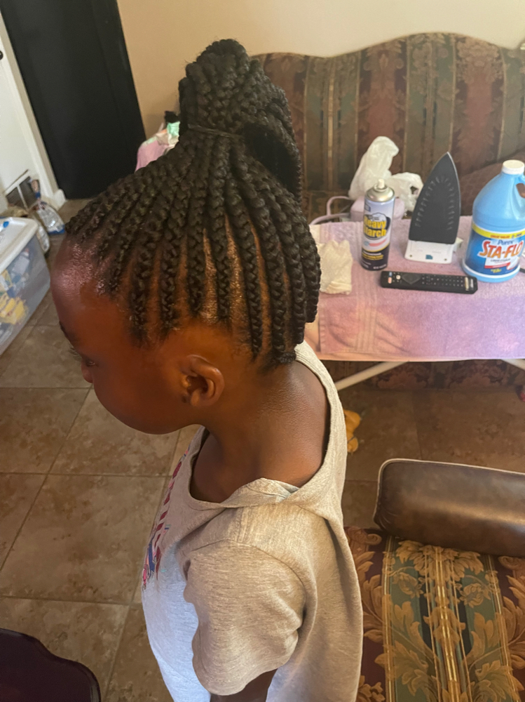 Braided Ponytail (Small)