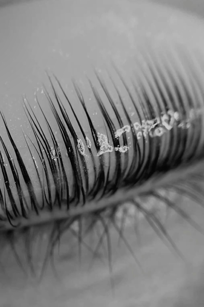 Lash Lift And Tint at Stellar Skin Care Services in Pensacola, FL