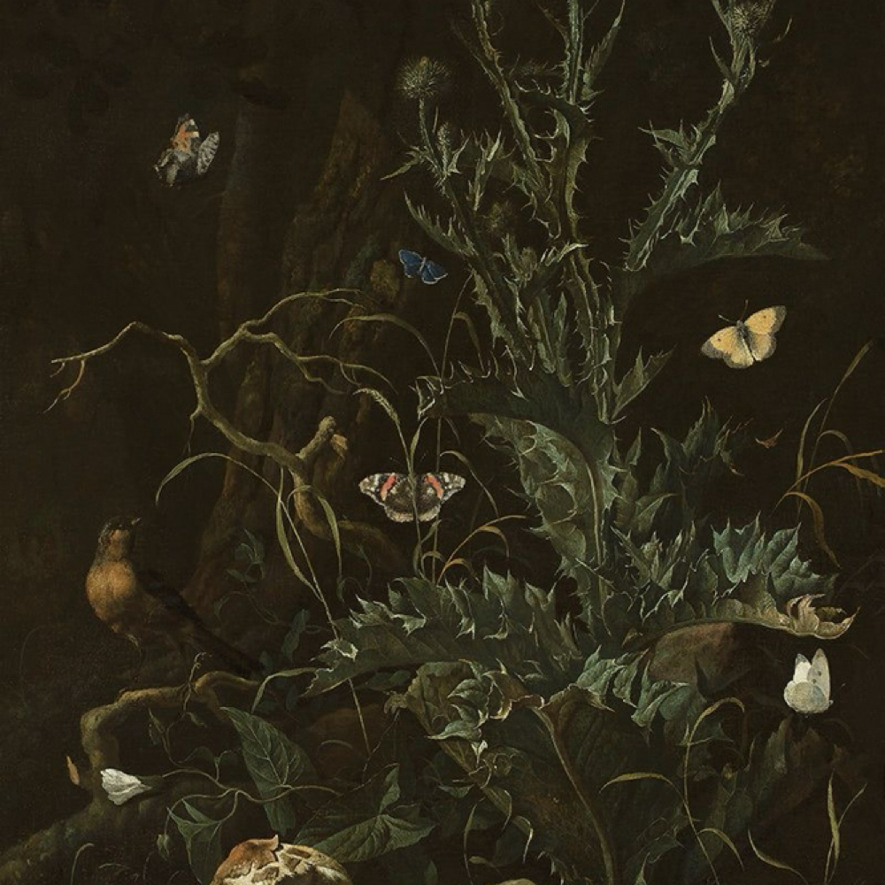 Full Buttocks Wax at Willis Waxing in Christiansburg, VA