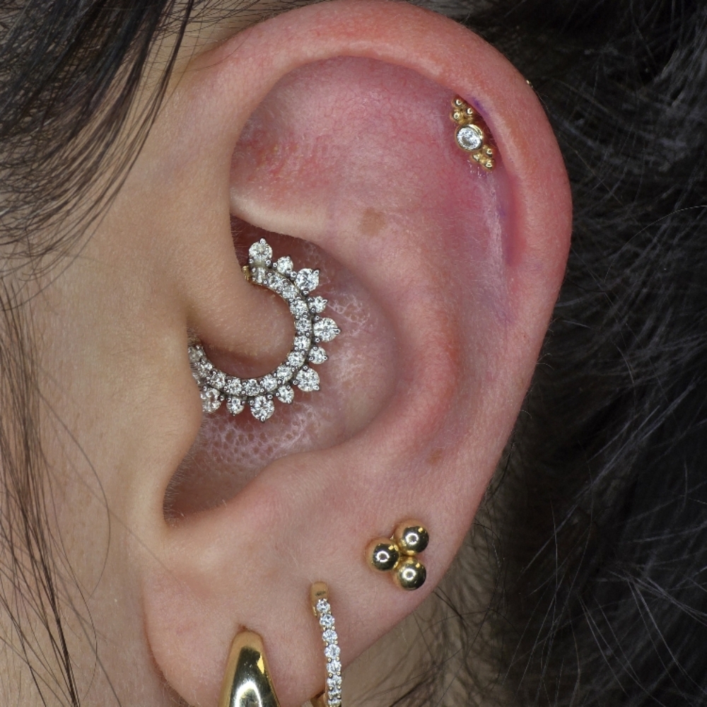 Daith (Single) at Ethereal Adornments Pierced By Cambria in Murrieta, CA