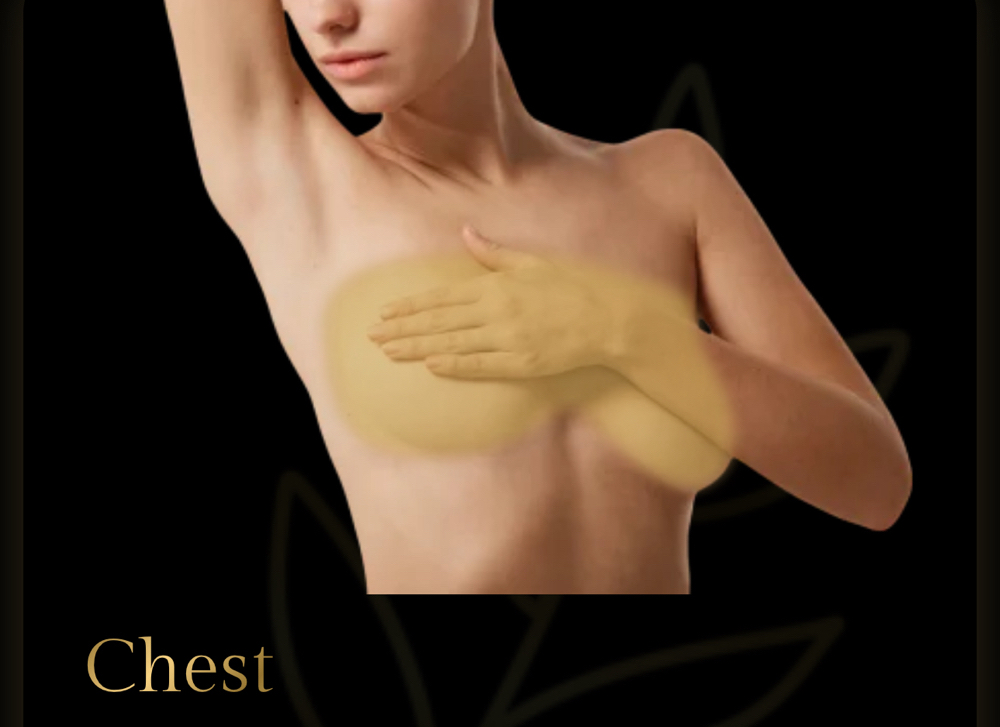 Chest