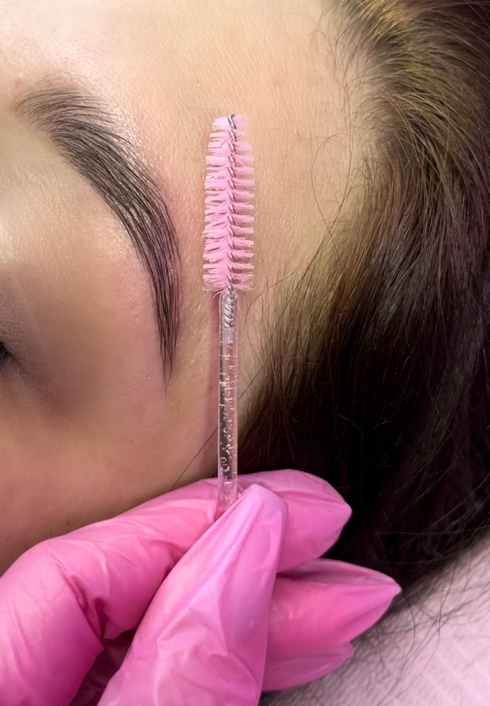 Maintenance Brow Lami