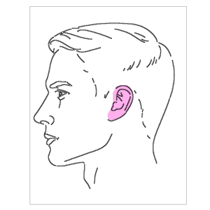 Ears