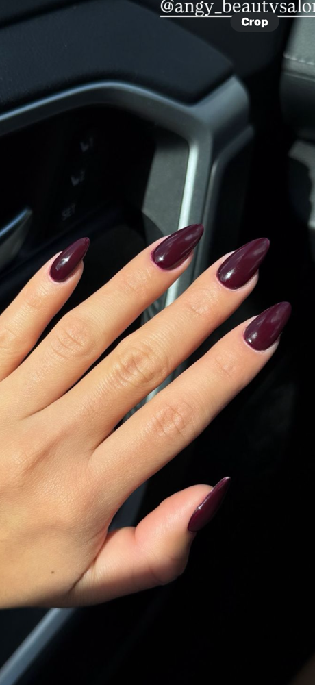 Acrylic Refill Medium Single Color