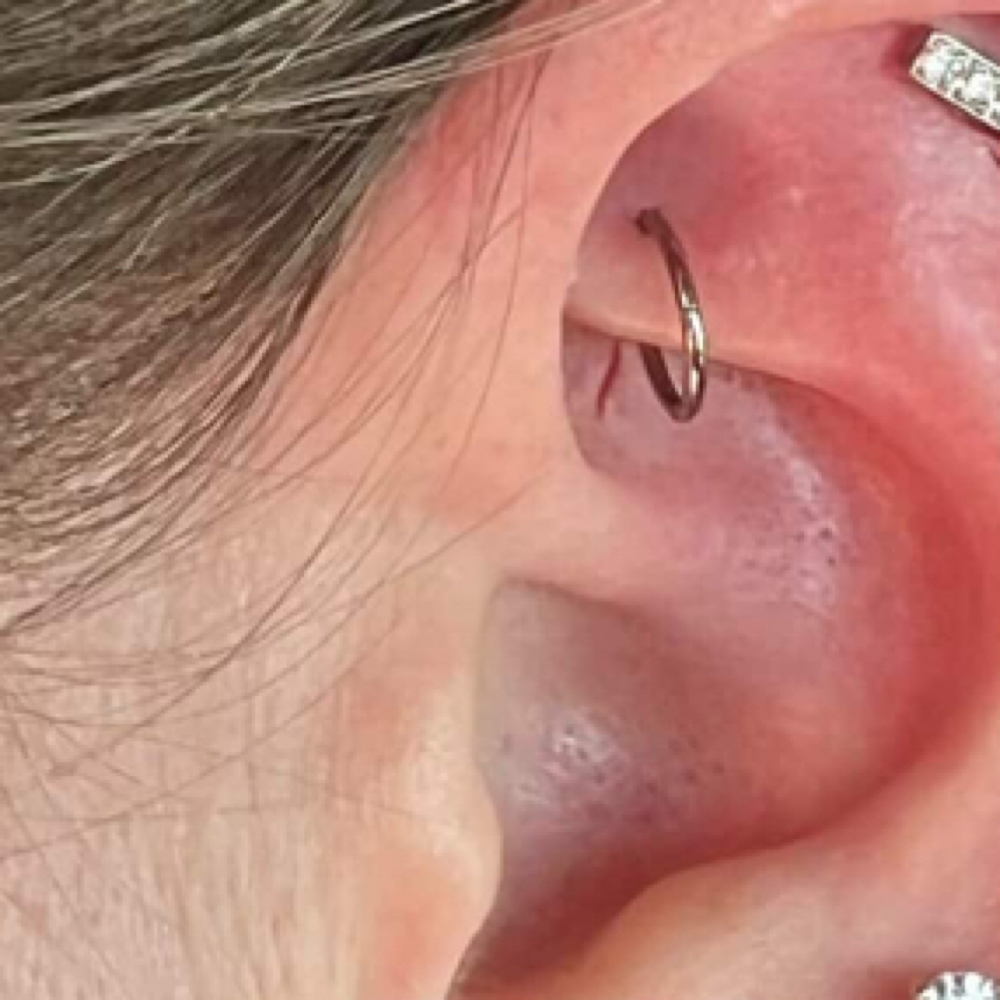 Rook Piercing at The Mark She Made in Clovis, CA