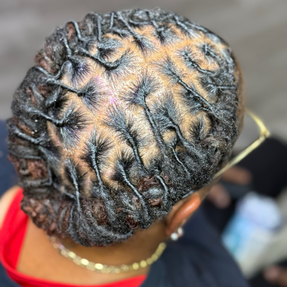 LOC RETWIST W/STYLE at Sincerely, B. The Creationist in Augusta, GA