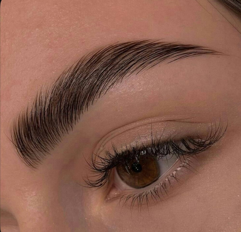 Brow Lamination, Tint and Wax at Reverent Beauty in Saint Augustine, FL