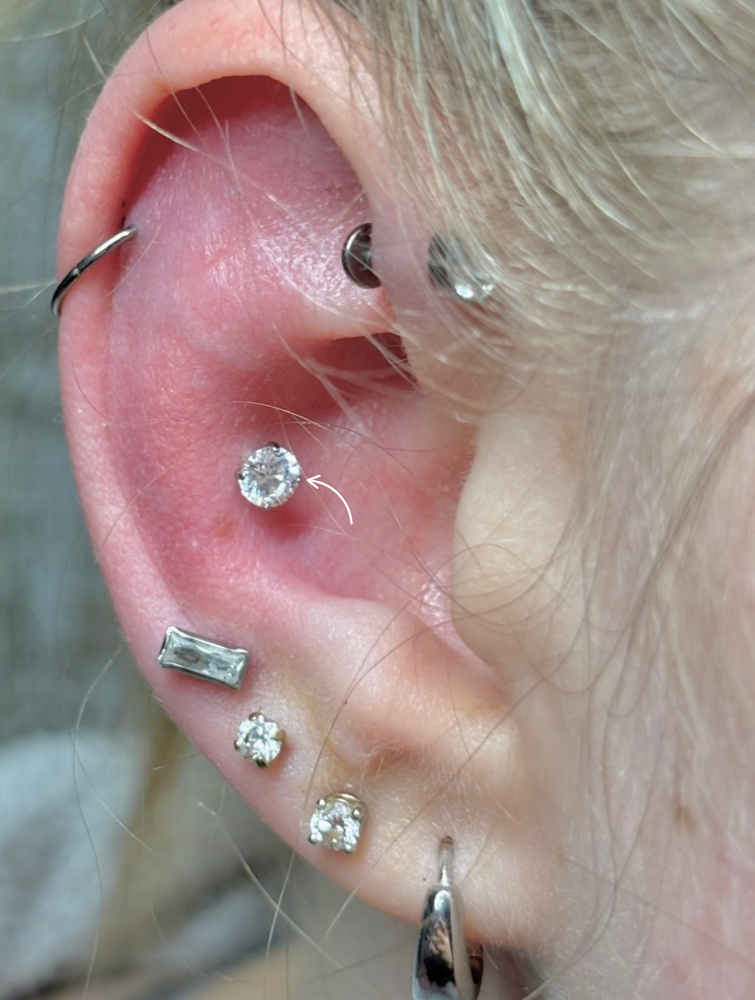 Conch at Retro Glow Beauty Co in Enumclaw, WA