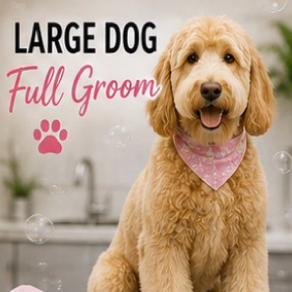 Large Dog Full Groom at Pampered Pups By Helen in Chino Hills, CA
