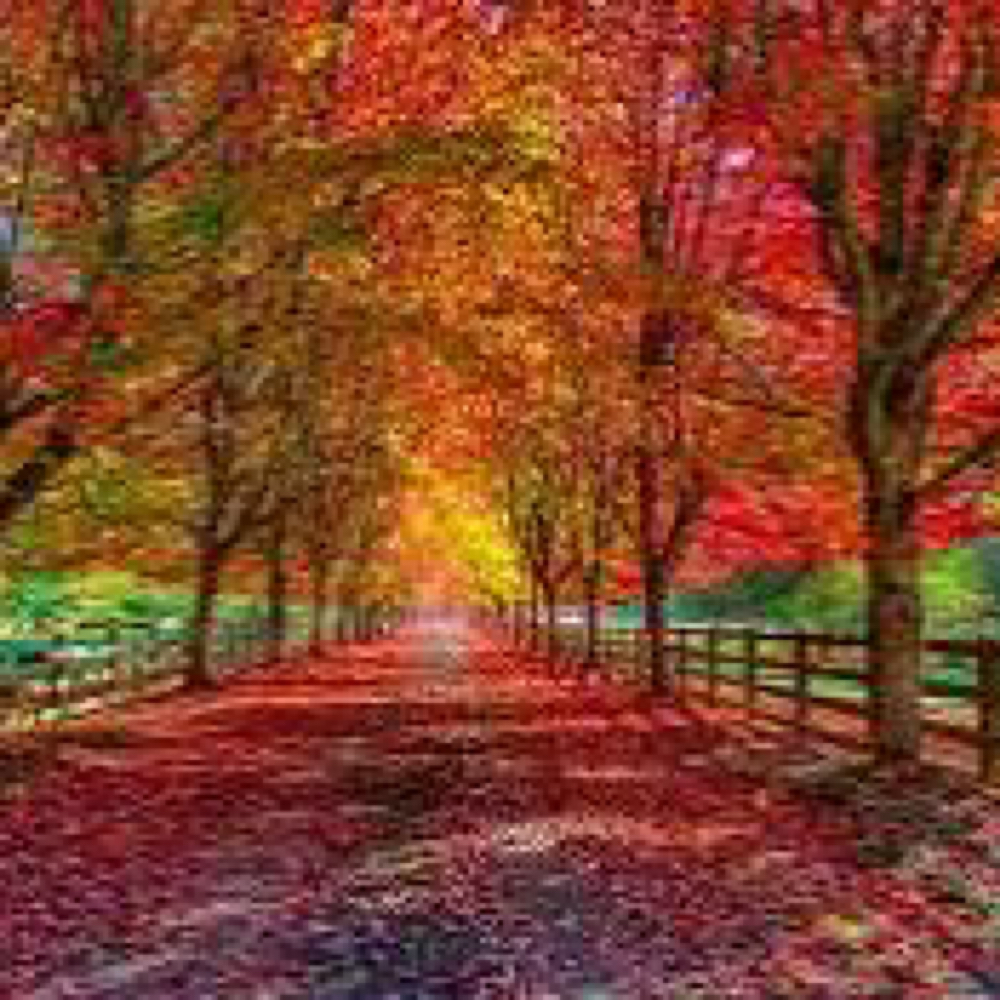 Fall Mini Reset at Eva Luna Wellness + Restore in Wauwatosa, WI