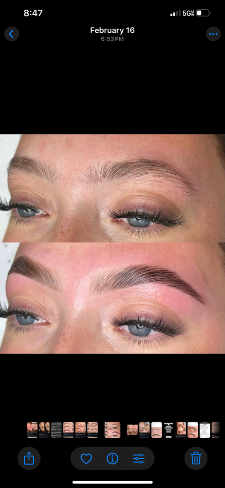 Eyebrow Lamination