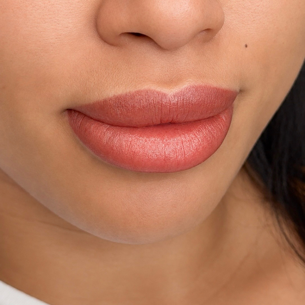LIPBLUSH at Beauty Brows Center in Tampa, FL