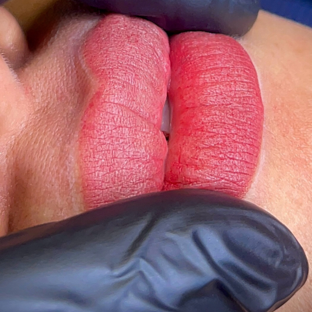 Lipblush at Beauty Brows Center LLC in Tampa, FL