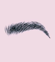 Brow Wax & Shaping