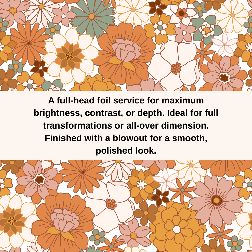 Complete Dimensional & Haircut at Kyanna Lyn Hair Studio in Omaha, NE