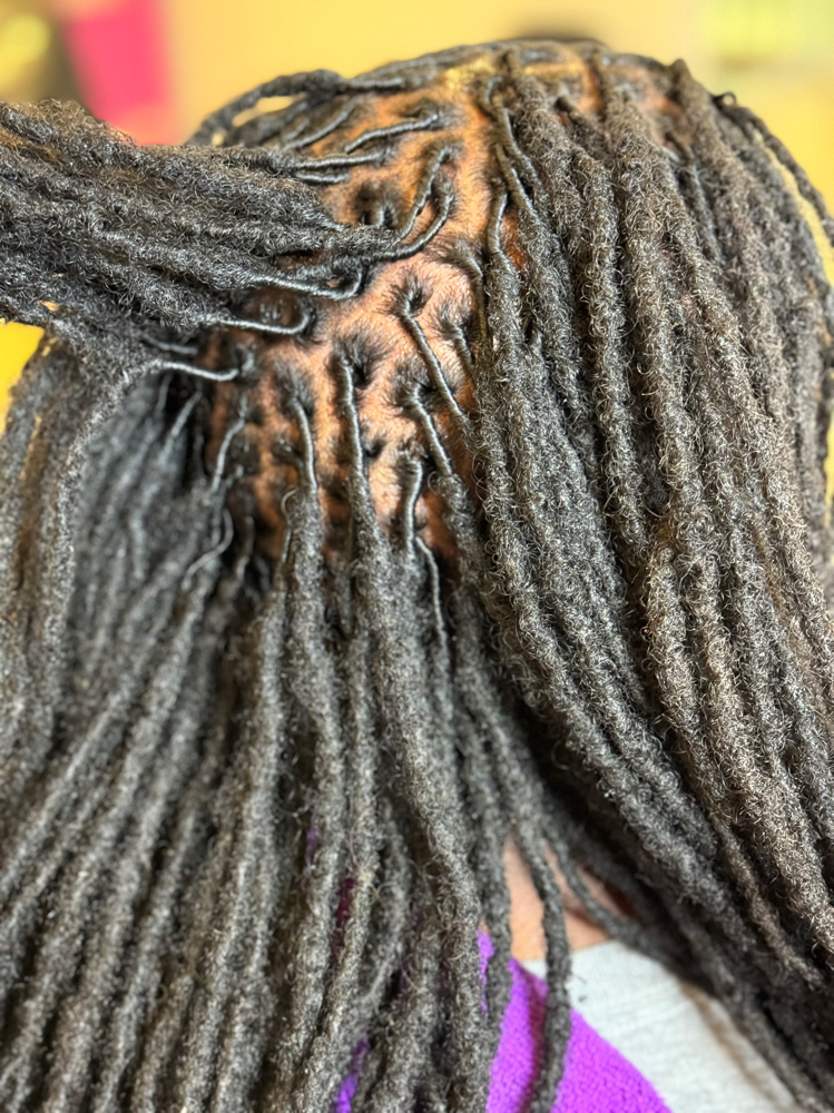Loc Maintenance Retwist