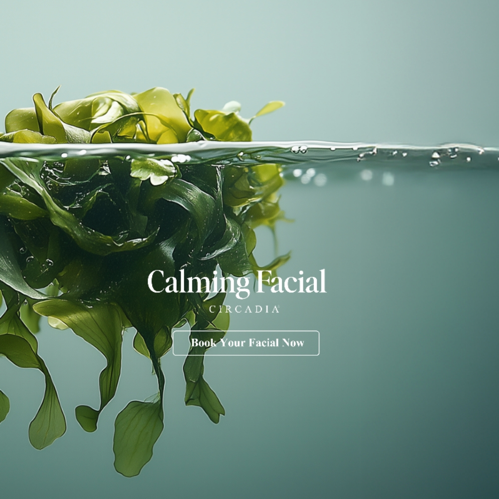 Calming Facial at Andersen Esthetics LLC in Tonawanda, NY