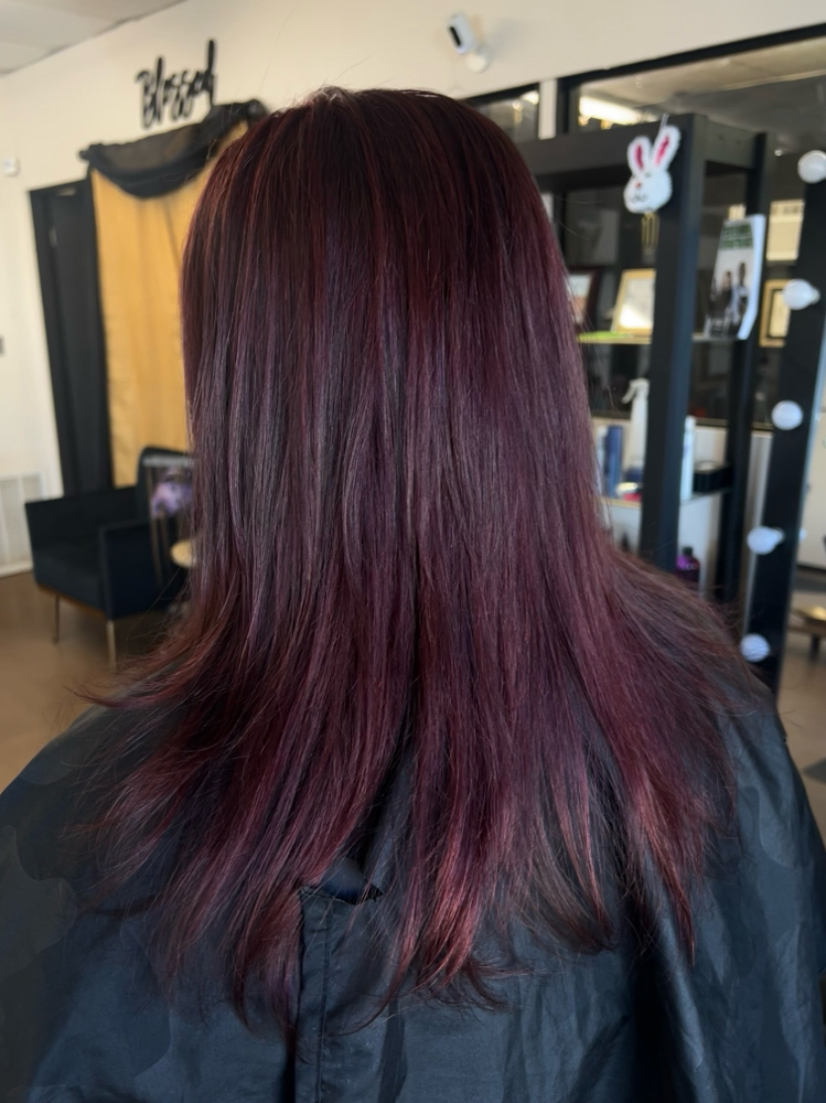 Full Haircolor