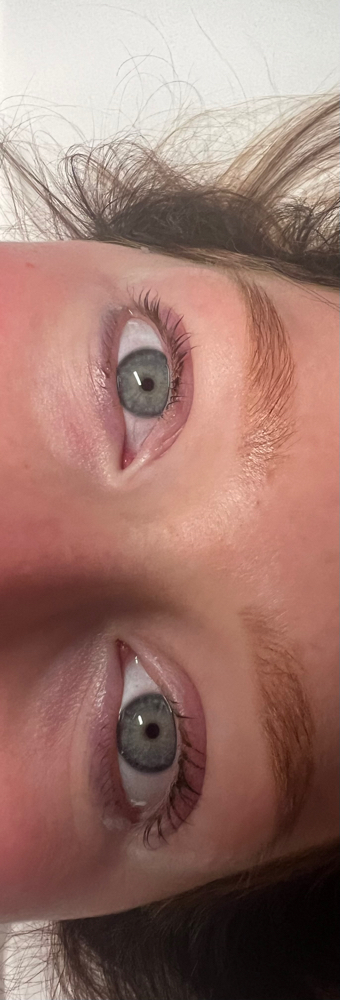 Lash Lift And Tint at Sincerely Yours Esthetics LLC in West Lafayette, OH