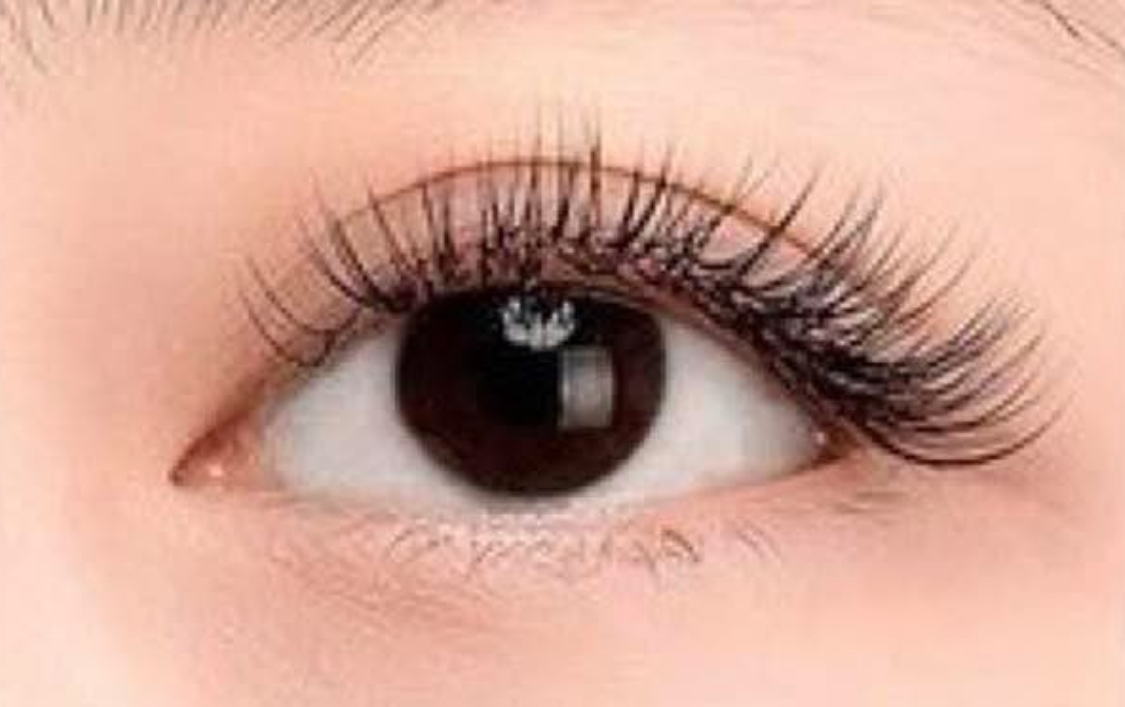 CLASSIC REFILL: 5th week at TEE LASHES BROWS in Cornelius, NC