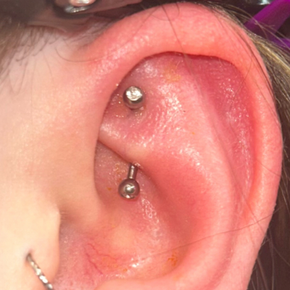 Rook 12+ at Wildflower Piercing Company in Alturas, CA