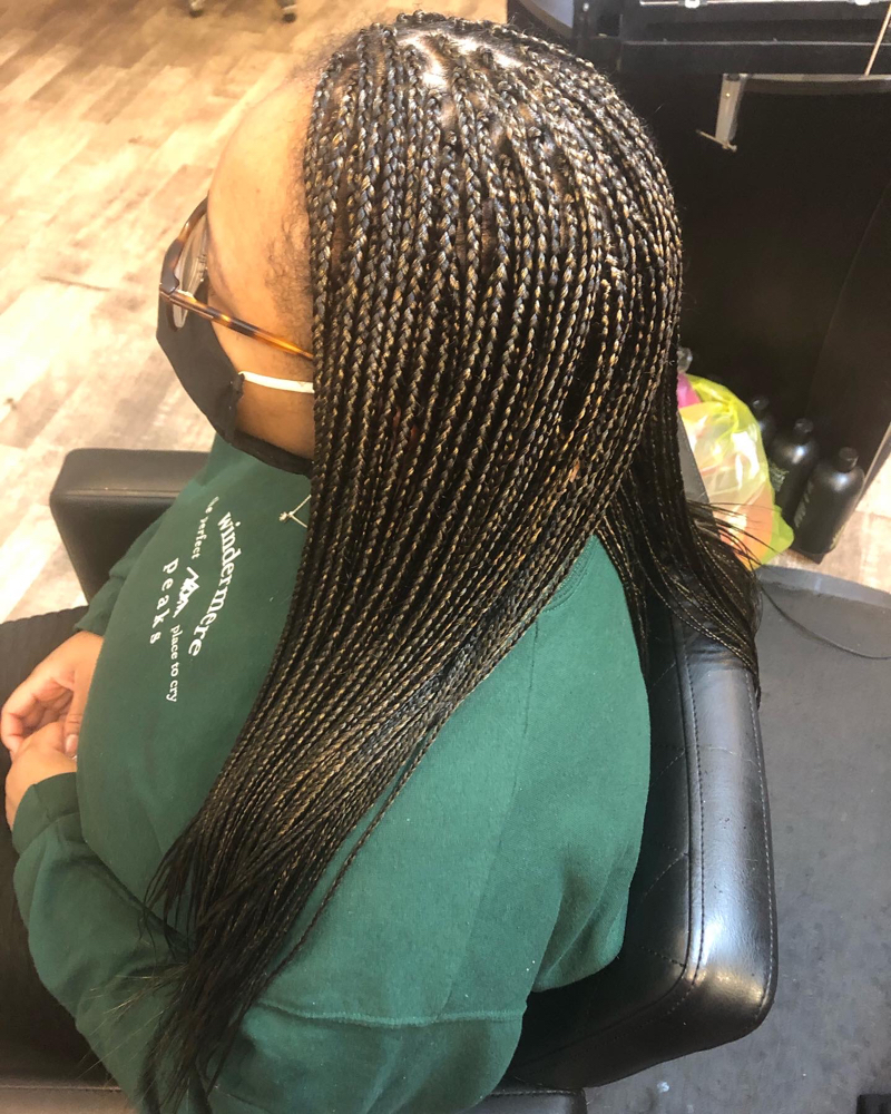 Small Individual Braids (long)