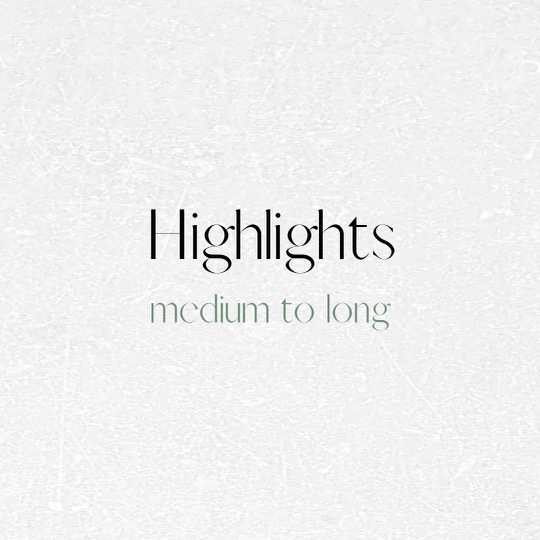 Highlight (Medium/Long Hair)