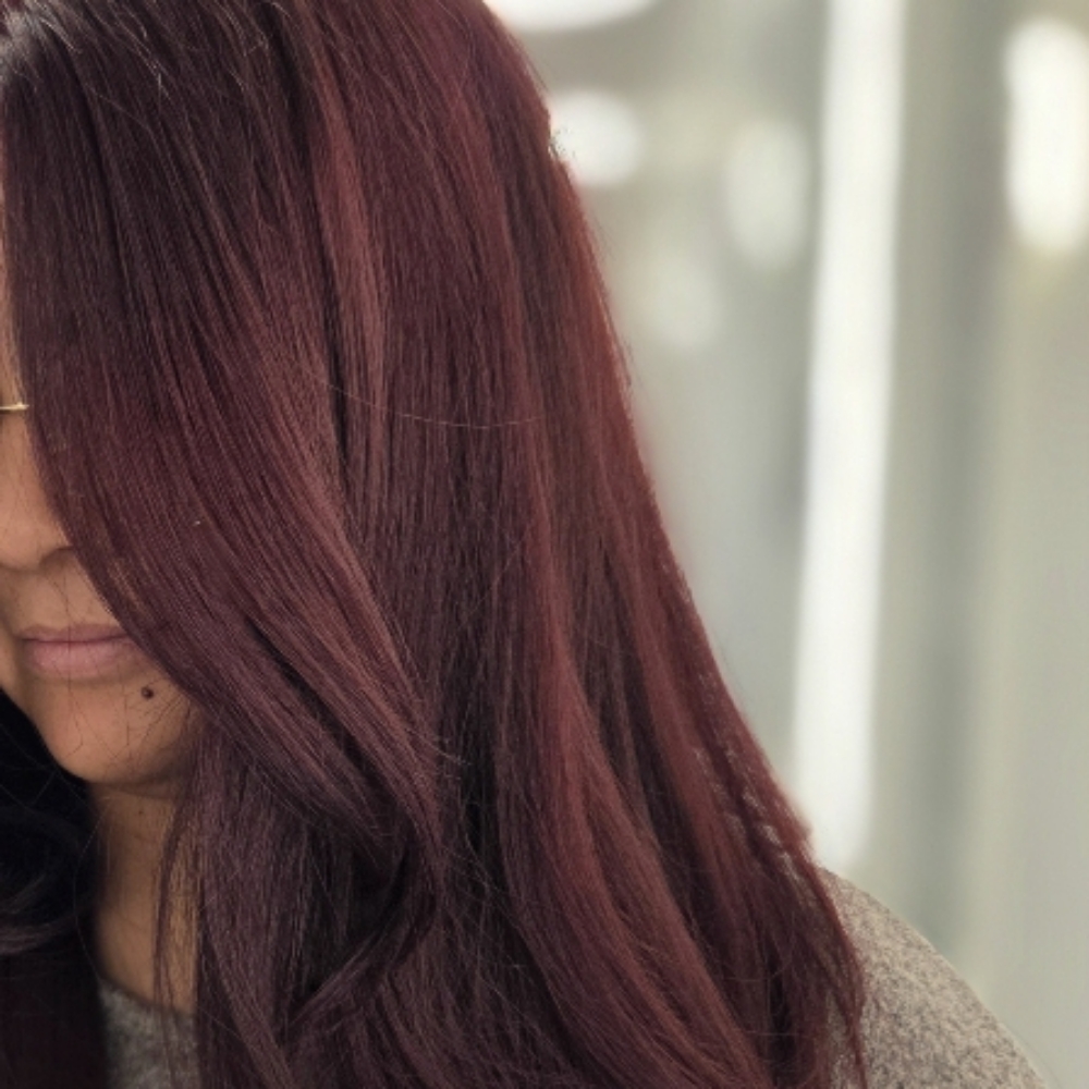 All Over Haircolor Red/burgundy at Danielas Lovely Stylez in Scottsdale, AZ