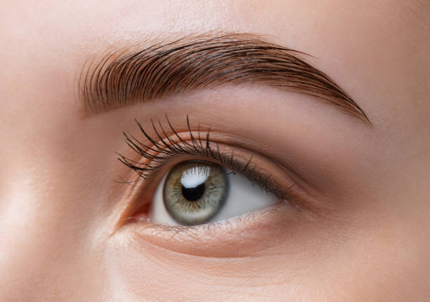 Brow Lamination, Wax, & Tint
