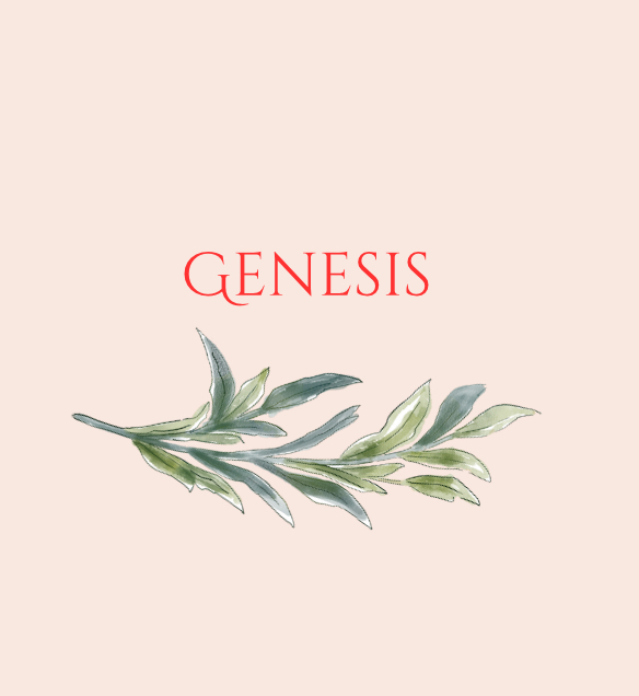 Genesis
