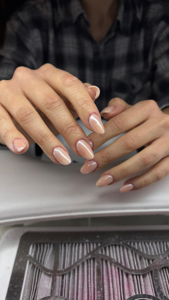 Hard Gel  (Solid Color)