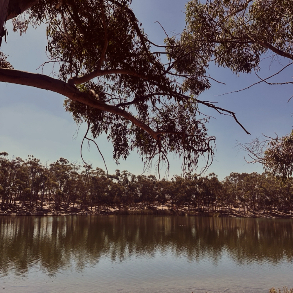 Birth Support— Private Pay