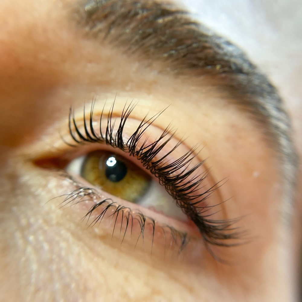 Lash Tint and Lifting
