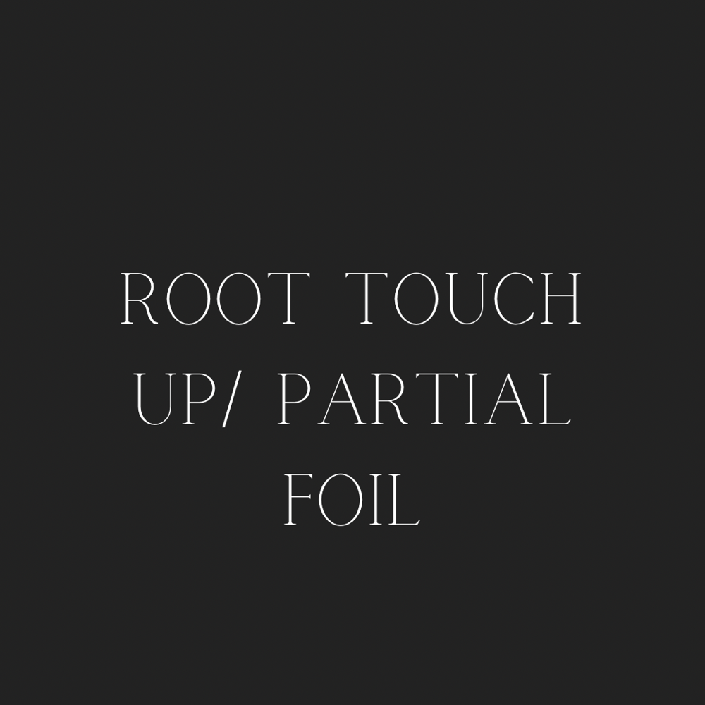 Root Touch Up/ Partial Foil