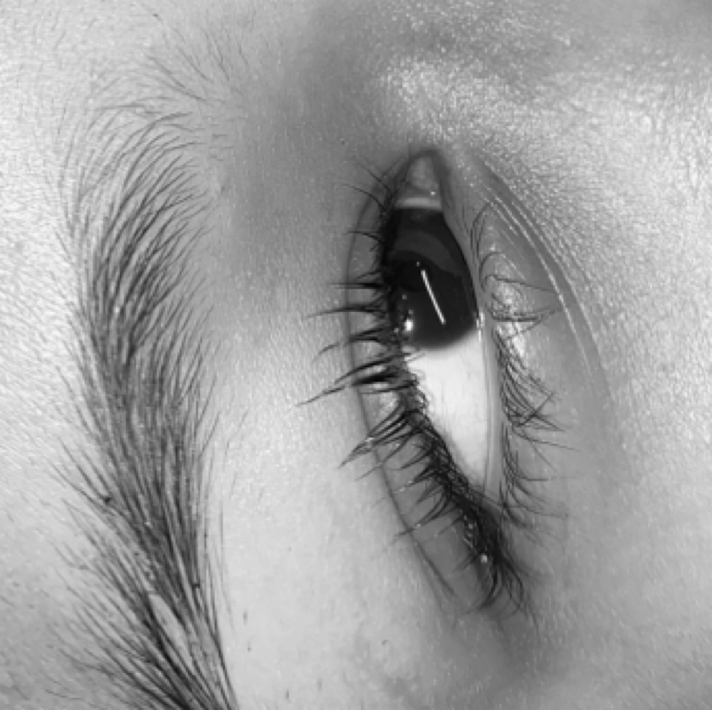 Lash Tint at Skin by Giselle in Commerce City, CO