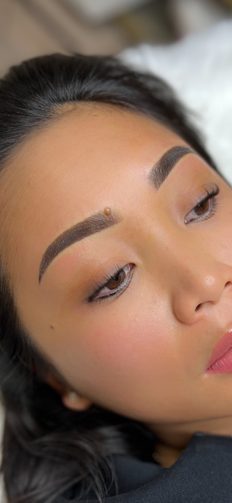 Ombre  Brows-annual touch up